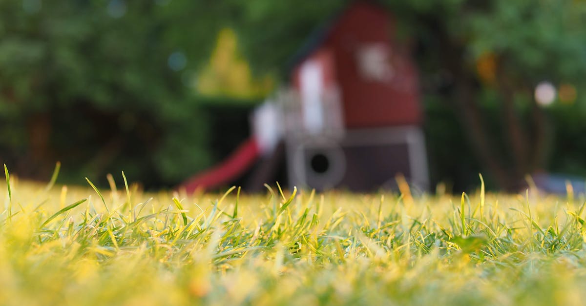 Can I pay someone to clean up my yard?