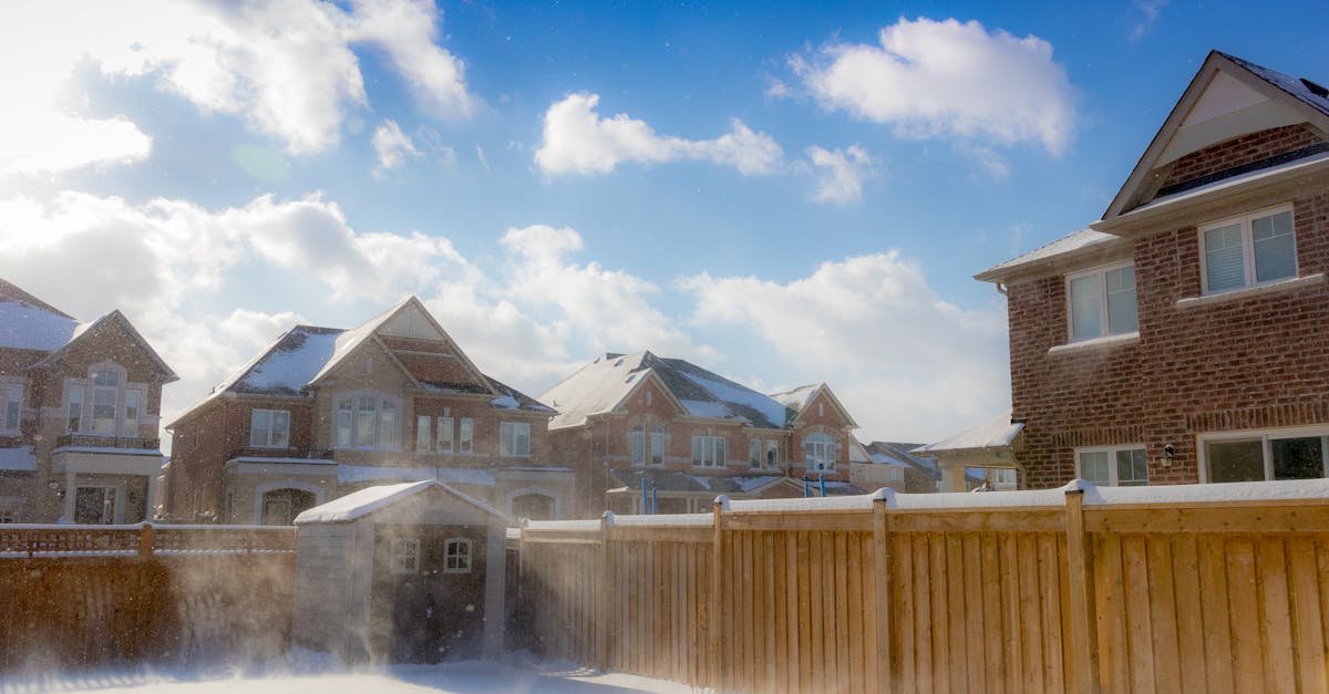 How to make your backyard pop?