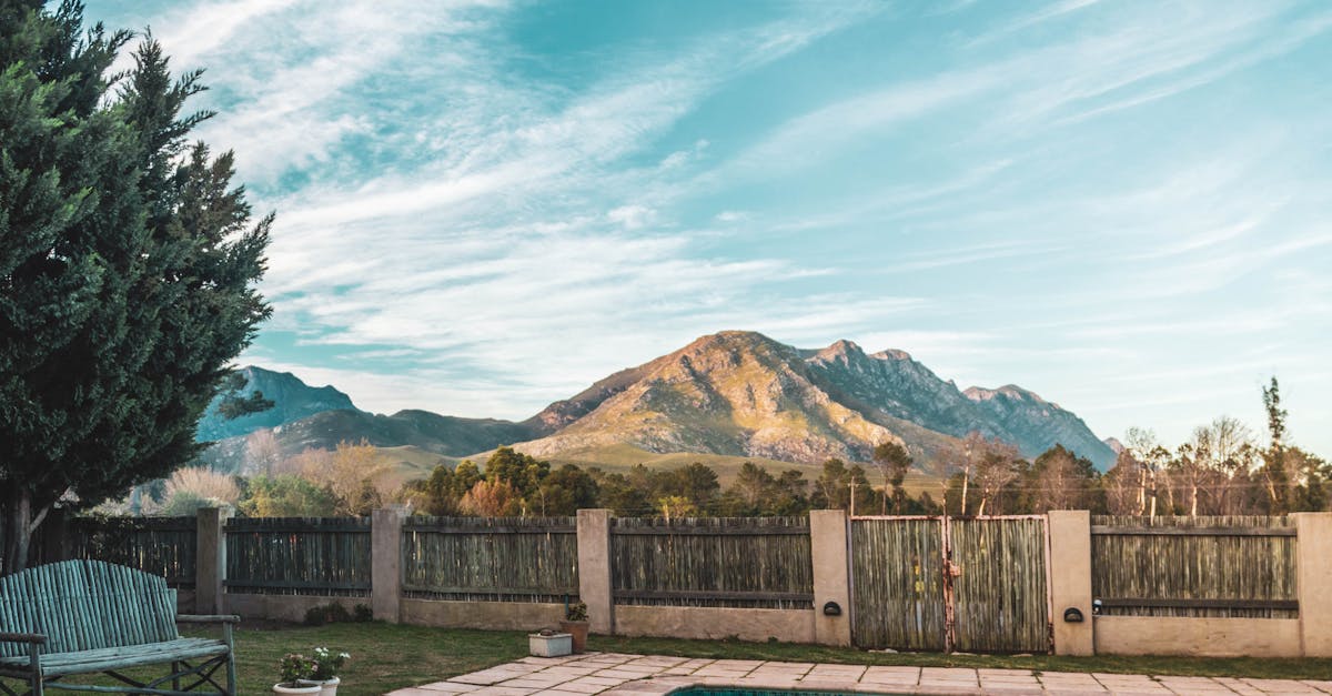 How to rejuvenate a yard?