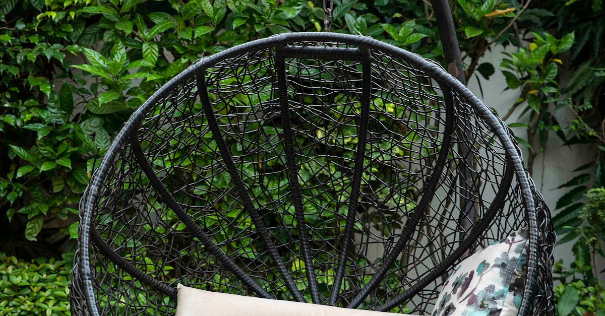 What is the first procedure for cleaning up the yard?